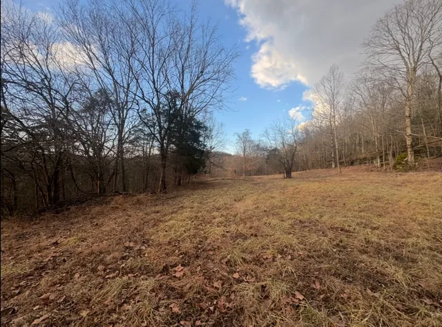 a backyard of a house