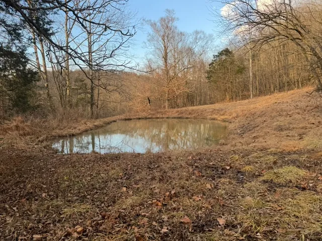 a view of a lake view