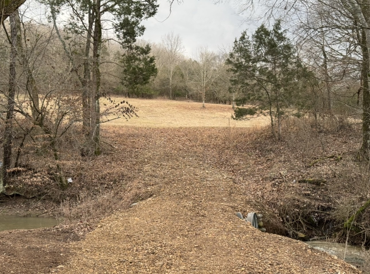 502 Rogues Fork Road Bethpage, TN 37022 - Photo 9 of 10