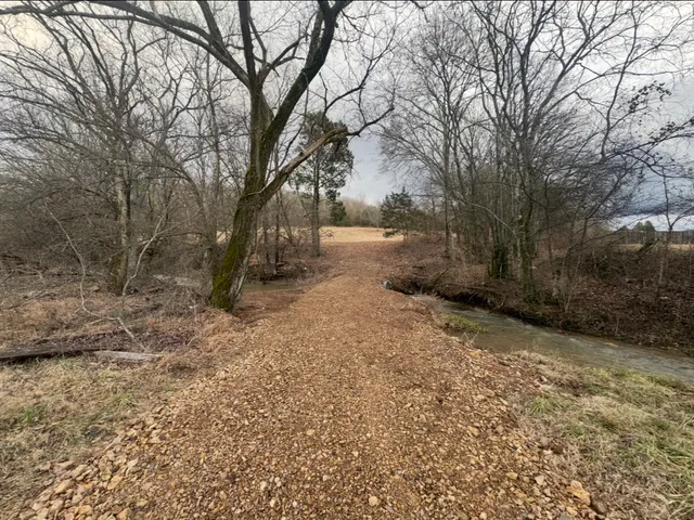 a view of a yard with trees