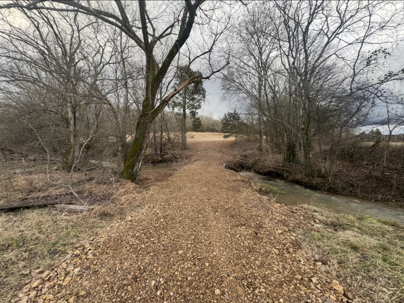 502 Rogues Fork Road Bethpage, TN 37022 - Photo 10 of 10