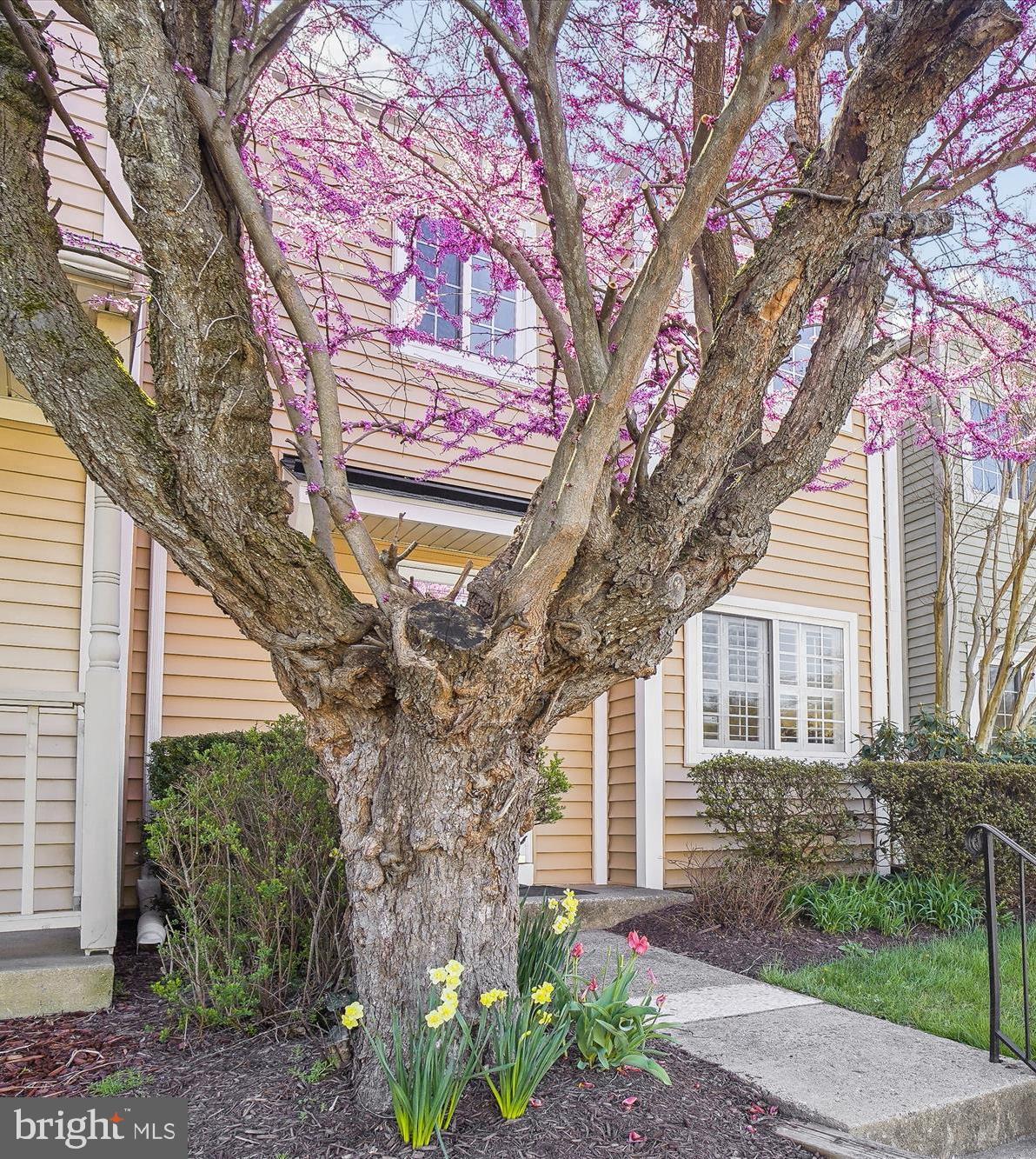 19908 Stoney Point Way Germantown, MD 20876 - Photo 21 of 51 Front Elevation