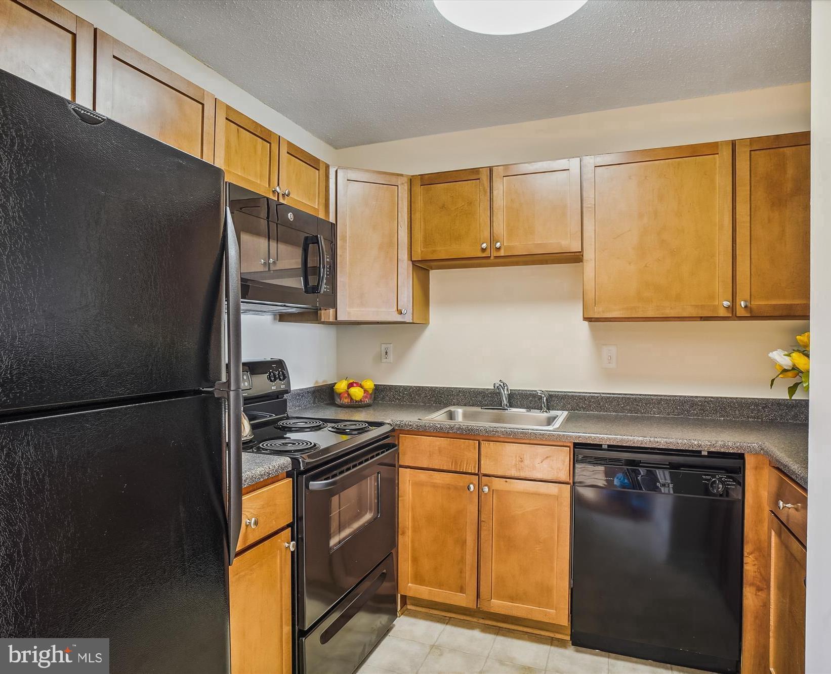 19908 Stoney Point Way Germantown, MD 20876 - Photo 7 of 51 Kitchen