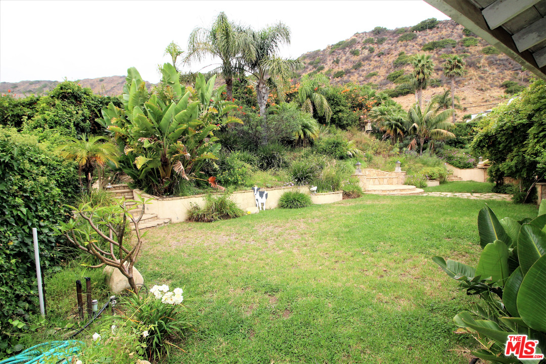 20219 Inland Lane Malibu, CA 90265 - Photo 5 of 28 a view of a garden with a tree