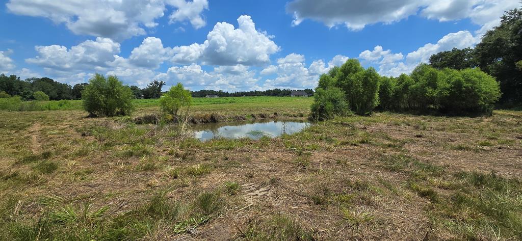 91 County Road 91 Slocomb, AL 36375 - Photo 6 of 18