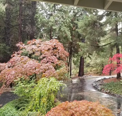 $720,000 | 14173 Tahoe View Drive, Grass Valley, CA 95945