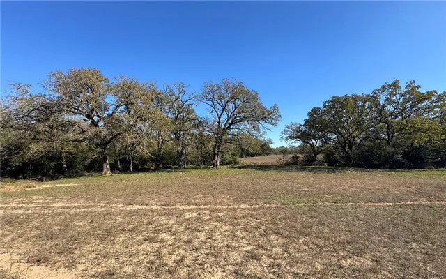 a view of a field with trees in background