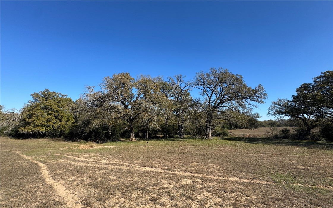 4834 Old Boone Prairie Road Franklin, TX 77856 - Photo 12 of 39 a view of backyard space