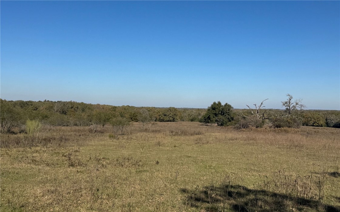 4834 Old Boone Prairie Road Franklin, TX 77856 - Photo 13 of 39 a view of mountain with lake view
