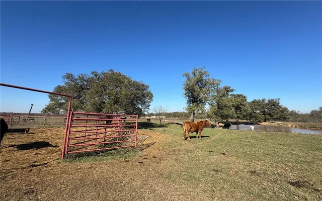 a view of a lake with a yard