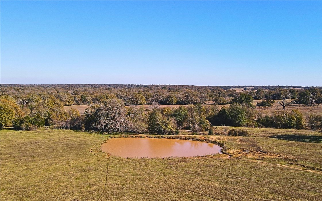 4834 Old Boone Prairie Road Franklin, TX 77856 - Photo 18 of 39 a view of a swimming pool and an outdoor space