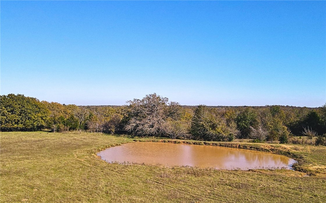 4834 Old Boone Prairie Road Franklin, TX 77856 - Photo 19 of 39 a view of lake and mountain