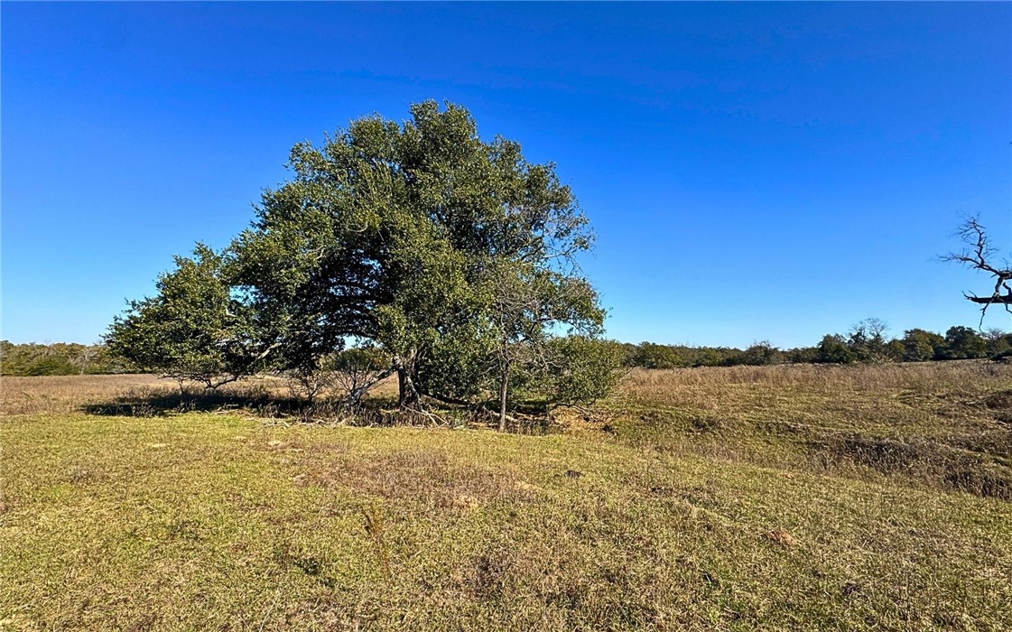 4834 Old Boone Prairie Road Franklin, TX 77856 - Photo 2 of 39 a view of lake view and mountain