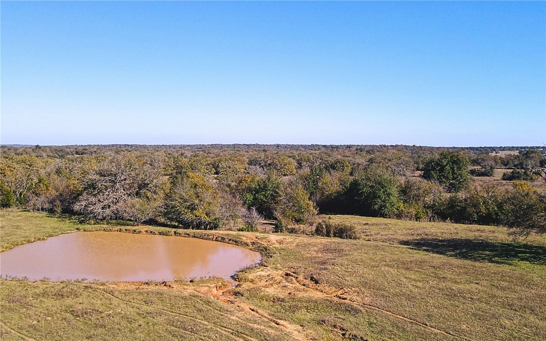 4834 Old Boone Prairie Road Franklin, TX 77856 - Photo 21 of 39 a view of outdoor space and yard