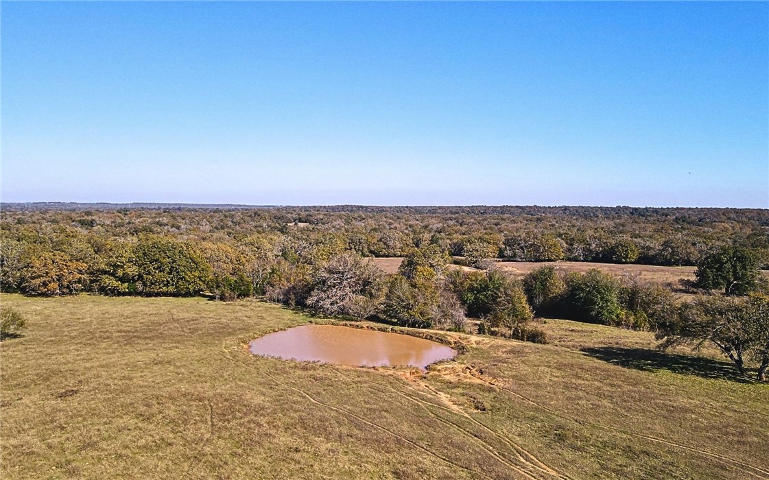 4834 Old Boone Prairie Road Franklin, TX 77856 - Photo 22 of 39 a view of outdoor space and yard