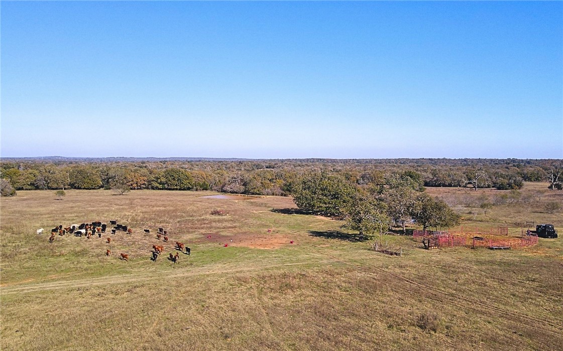4834 Old Boone Prairie Road Franklin, TX 77856 - Photo 25 of 39 an aerial view of a beach