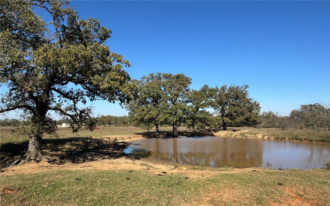 4834 Old Boone Prairie Road Franklin, TX 77856 - Photo 5 of 39 a view of a yard with a tree