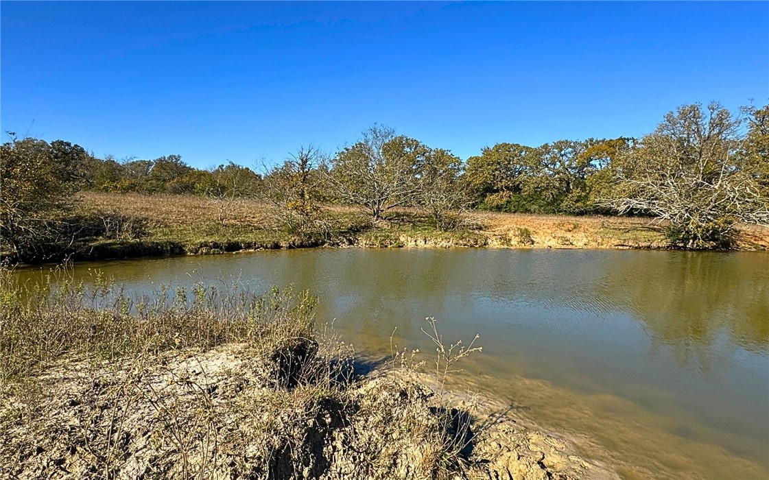 4834 Old Boone Prairie Road Franklin, TX 77856 - Photo 7 of 39 a view of lake