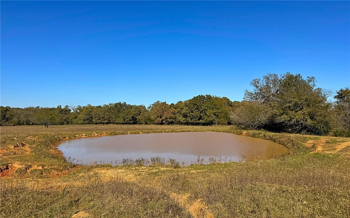 4834 Old Boone Prairie Road Franklin, TX 77856 - Photo 8 of 39 a view of lake and mountain