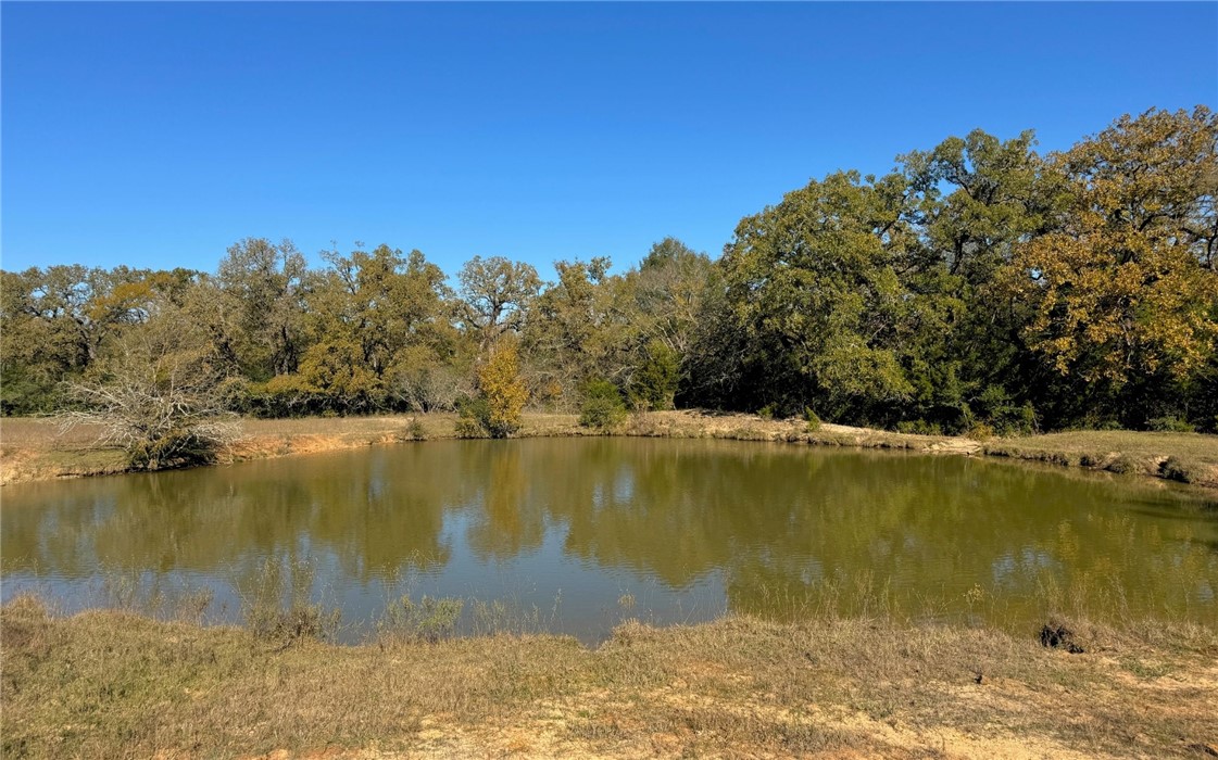 4834 Old Boone Prairie Road Franklin, TX 77856 - Photo 10 of 39 a view of a lake with houses in the background