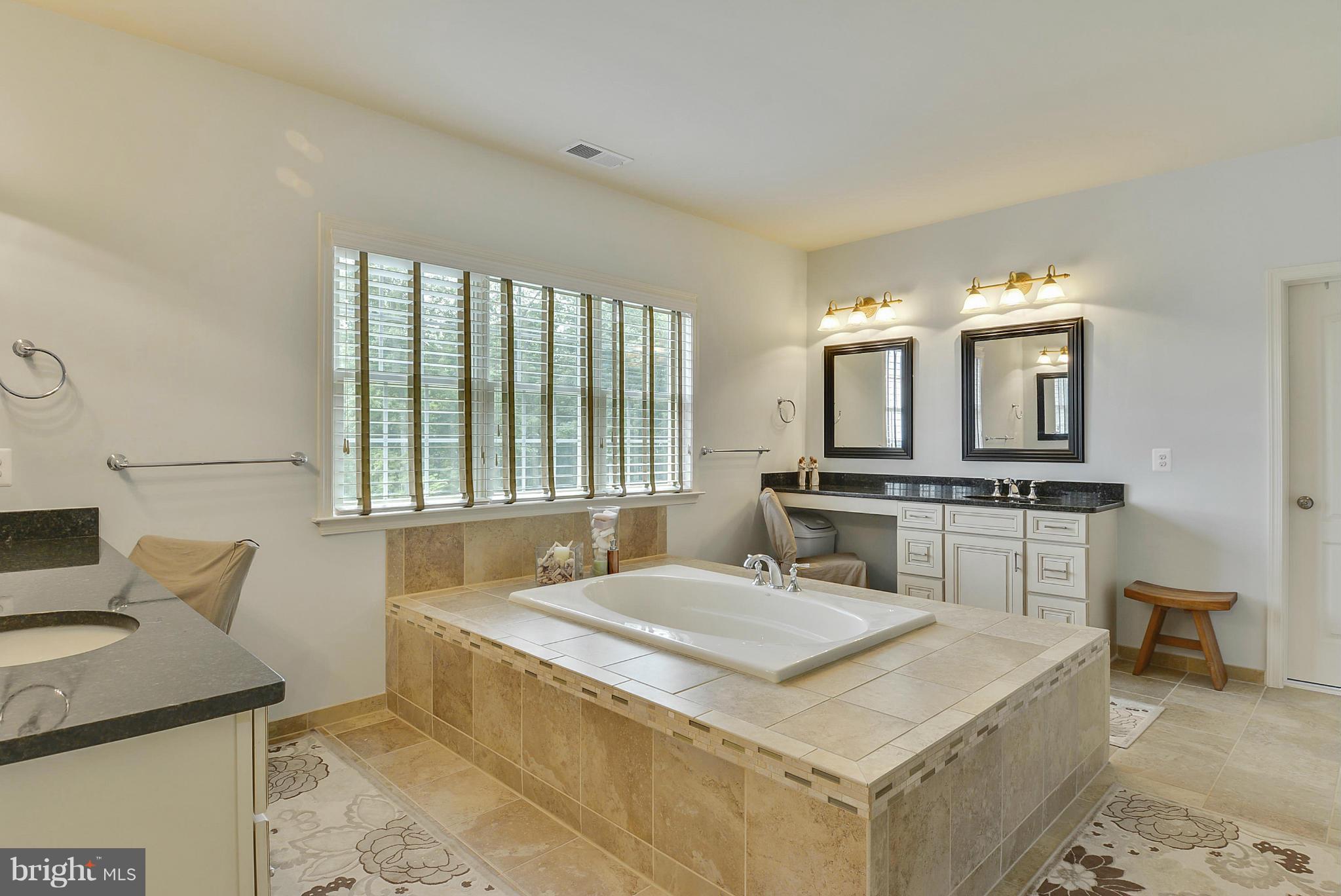 40084 Trotting Path Leesburg, VA 20175 - Photo 17 of 30 Bath (Master)