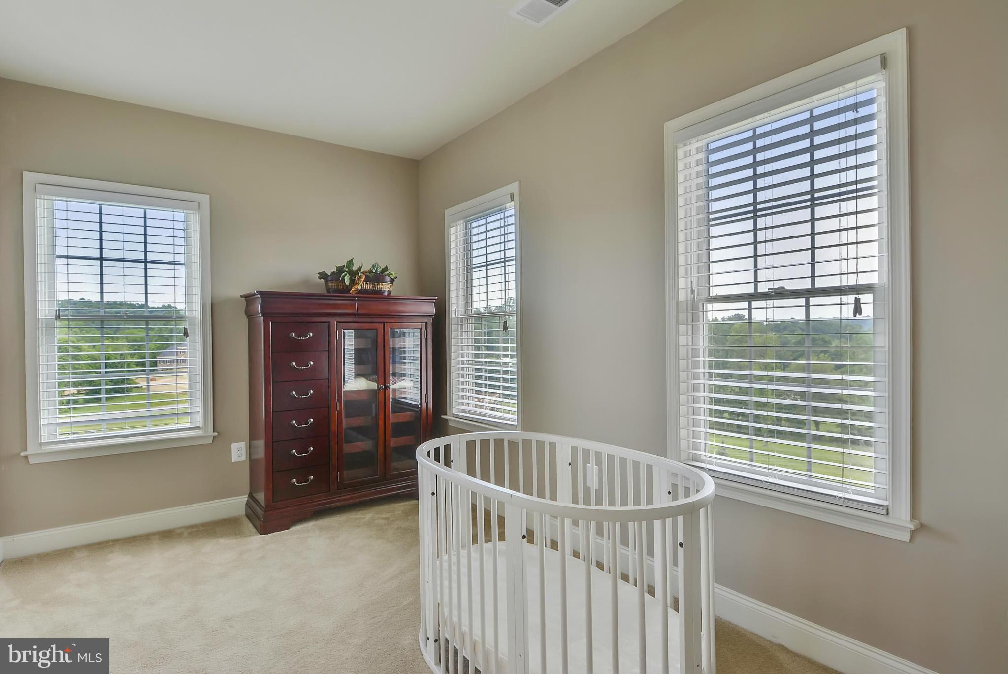 40084 Trotting Path Leesburg, VA 20175 - Photo 20 of 30 Bedroom Two Sitting Area