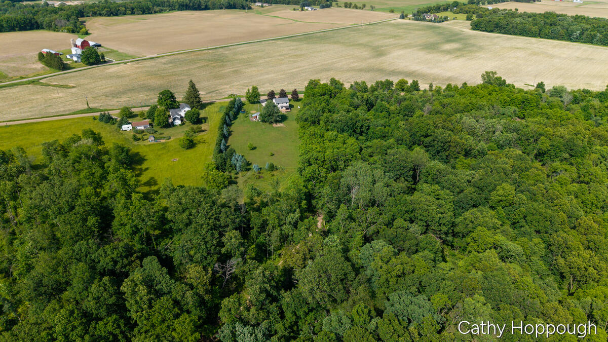 8152 Murphy Road Lyons, MI 48851 - Photo 50 of 74