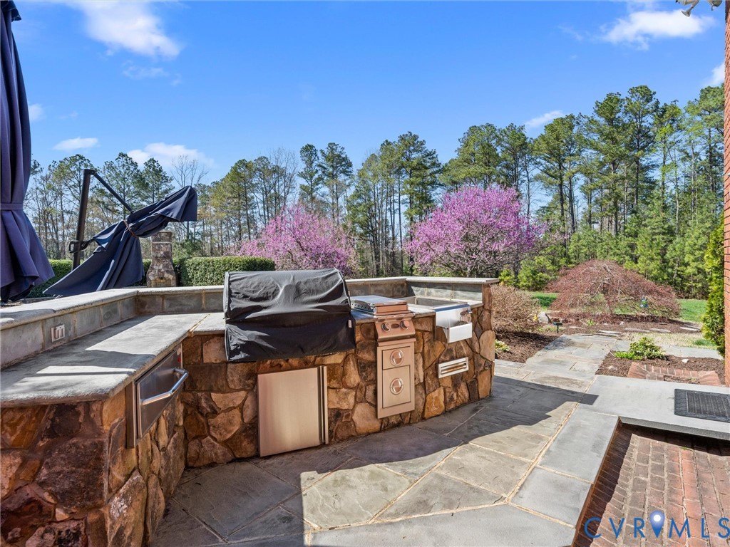 24200 Pear Orchard Road Moseley, VA 23120 - Photo 18 of 66 Outdoor kitchen