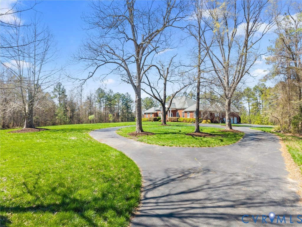 24200 Pear Orchard Road Moseley, VA 23120 - Photo 2 of 66 View of large front yard