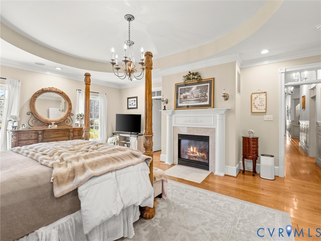 24200 Pear Orchard Road Moseley, VA 23120 - Photo 43 of 66 Large primary bedroom with tray ceiling and firepl