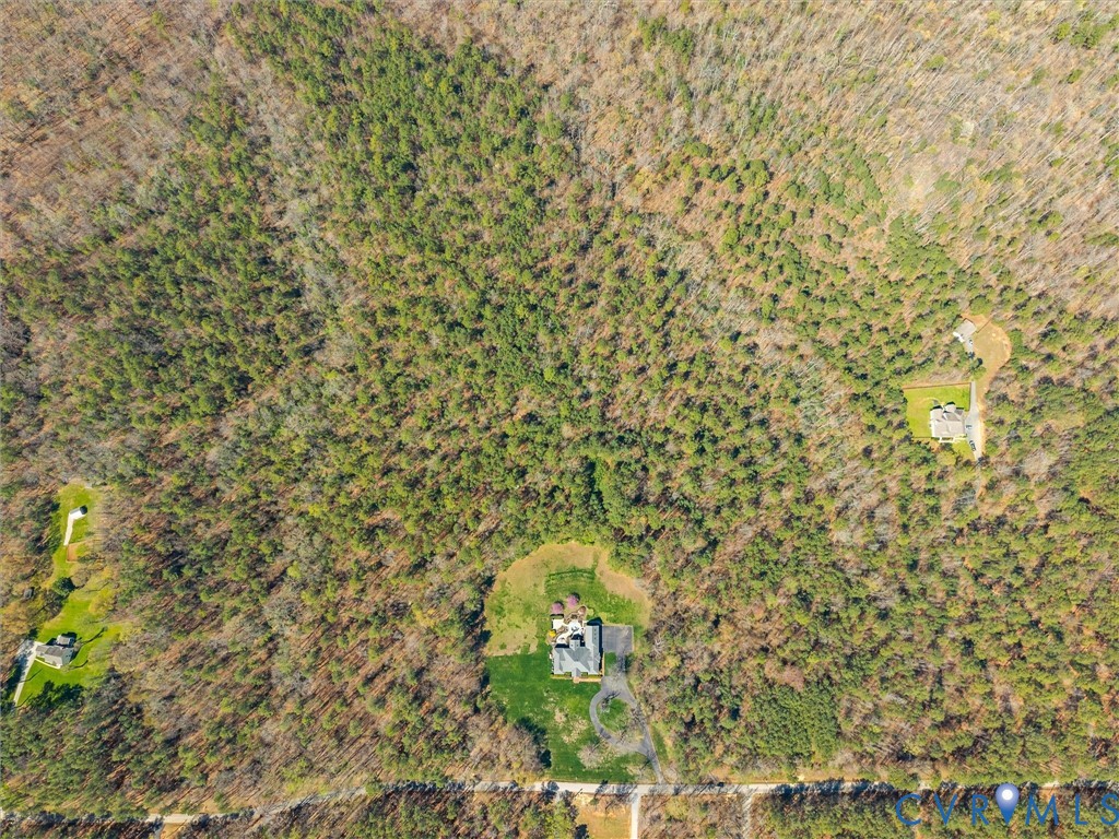 24200 Pear Orchard Road Moseley, VA 23120 - Photo 7 of 66 Privacy galore!