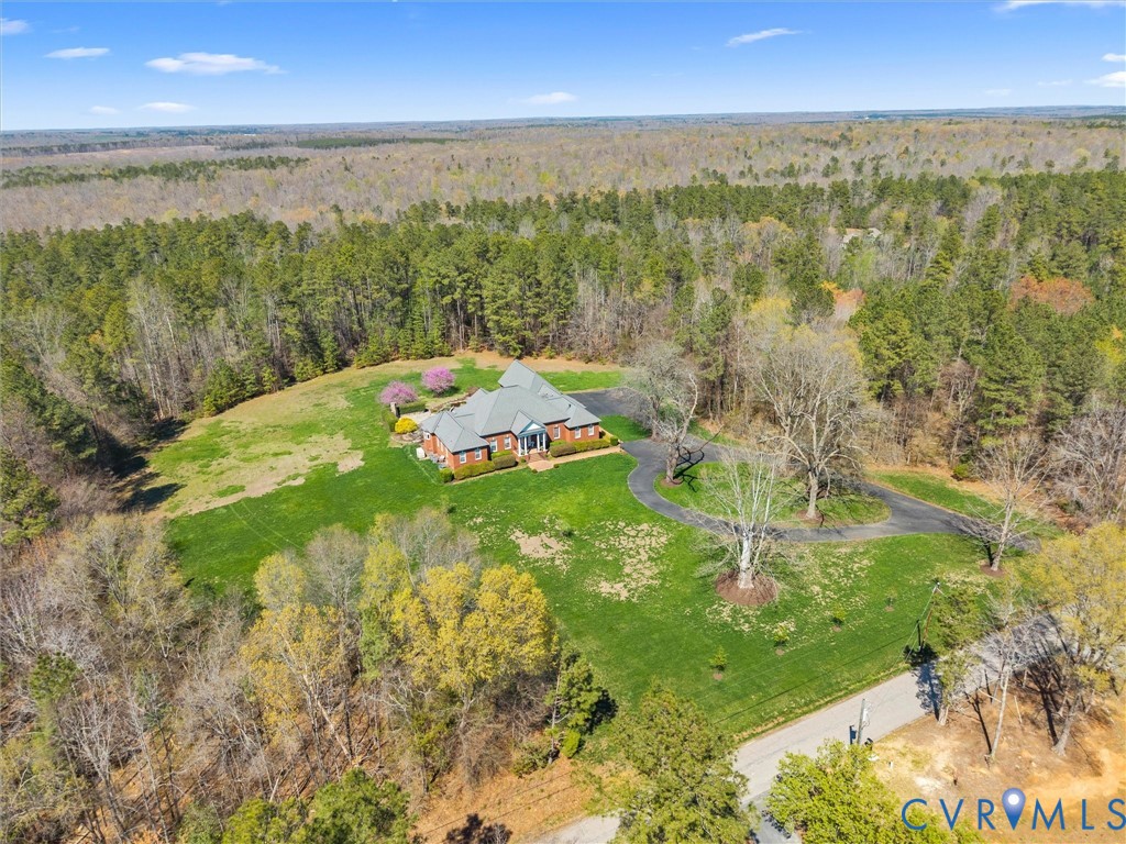 24200 Pear Orchard Road Moseley, VA 23120 - Photo 8 of 66 Aerial view of the property
