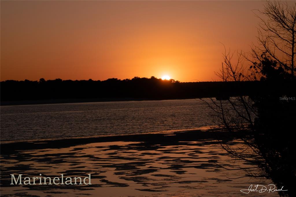 12 Slipper Flower Path East Palm Coast, FL 32164 - Photo 33 of 36 a view of a lake