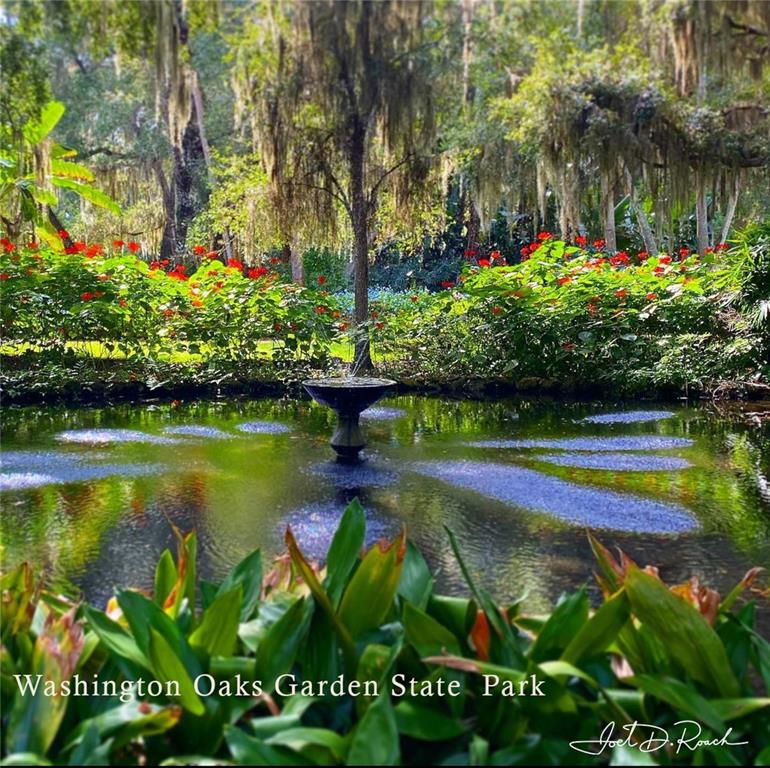 12 Slipper Flower Path East Palm Coast, FL 32164 - Photo 35 of 36 a view of swimming pool with a yard and plants