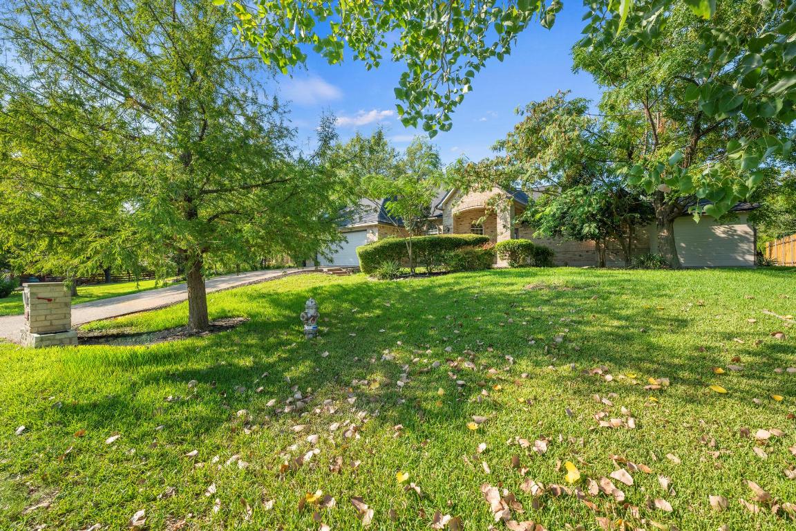 a garden with trees in the background