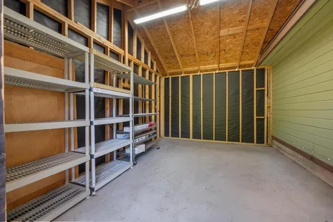 a picture of flowers