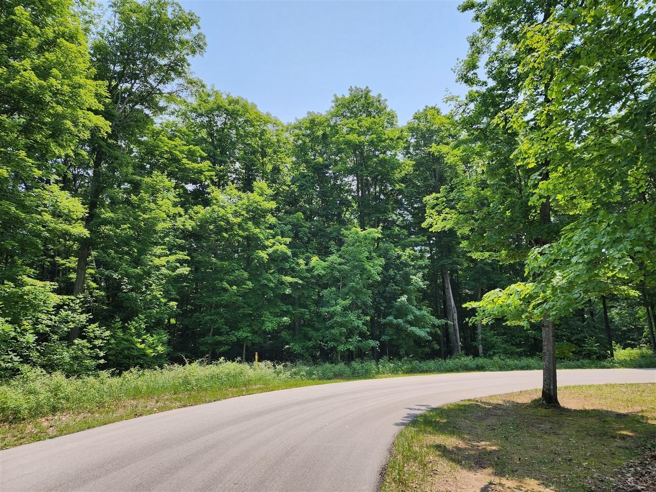 32 Goshawk Ridge Traverse City, MI 49684 - Photo 2 of 20