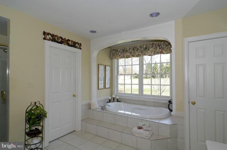 330 Springbrook Drive Silver Spring, MD 20904 - Photo 20 of 30 Bath (Master)