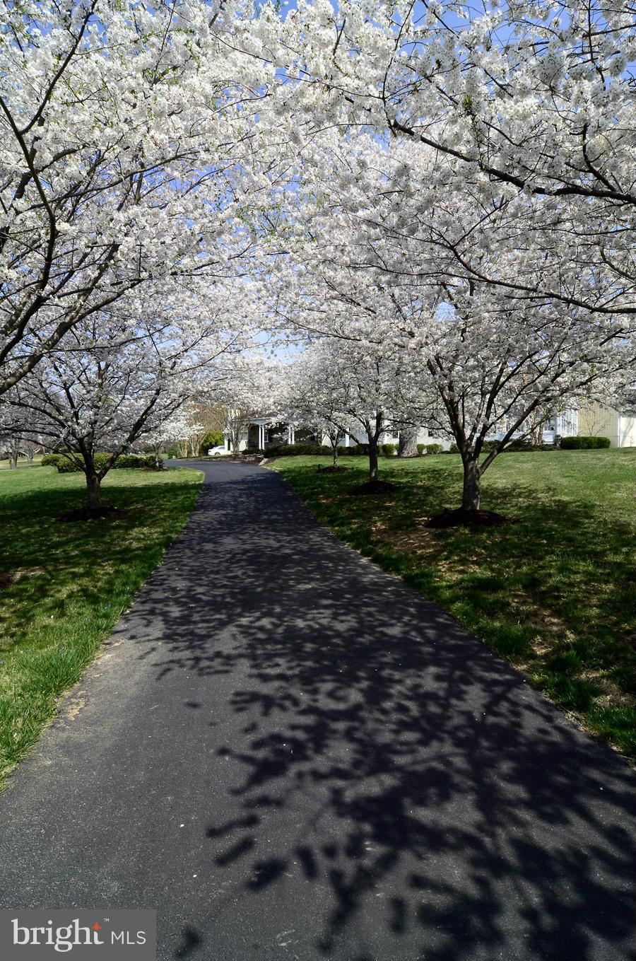 330 Springbrook Drive Silver Spring, MD 20904 - Photo 29 of 30 Exterior (Front)
