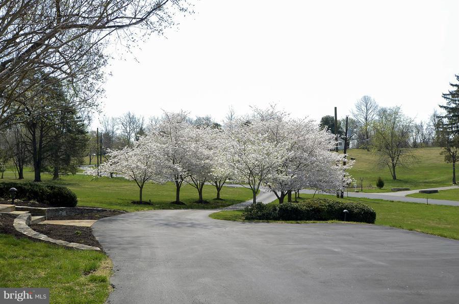 330 Springbrook Drive Silver Spring, MD 20904 - Photo 30 of 30 Exterior (Front)