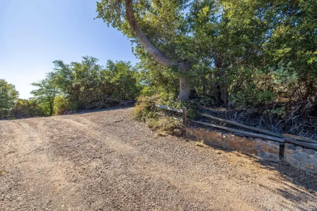 a view of a road with a trees