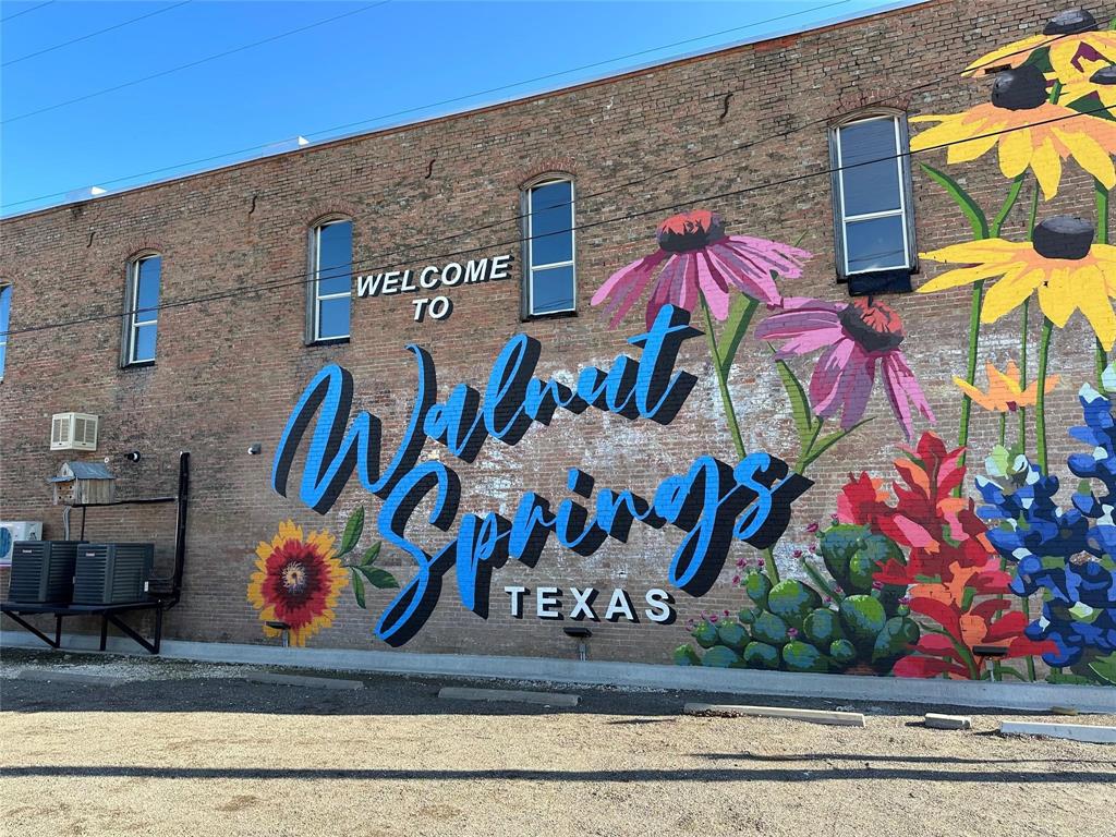 237 County Road 2565 Walnut Springs, TX 76690 - Photo 3 of 11