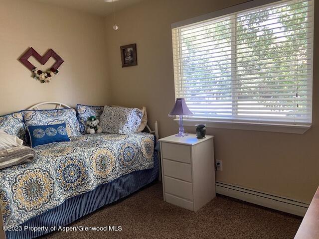 625 Ash Avenue Rifle, CO 81650 - Photo 19 of 21 s6