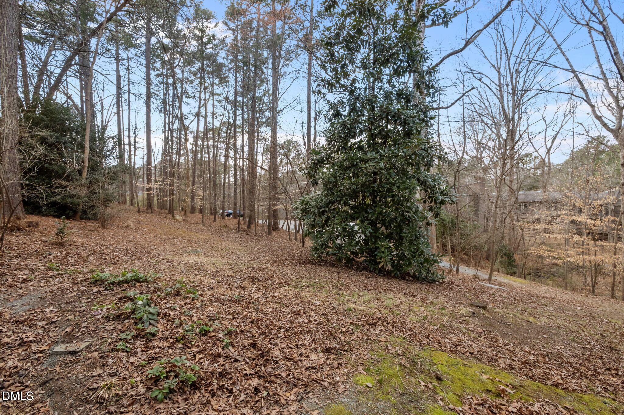 206 Ridge Trail Chapel Hill, NC 27516 - Photo 29 of 32 a view of a yard with trees