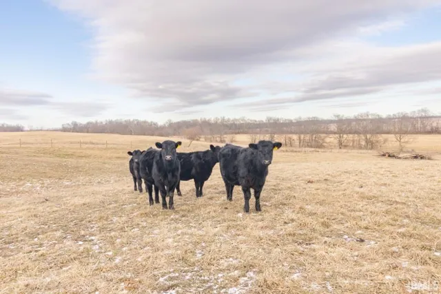 $1,135,000 | 90 South County Road 100 East, Straughn, IN 47387