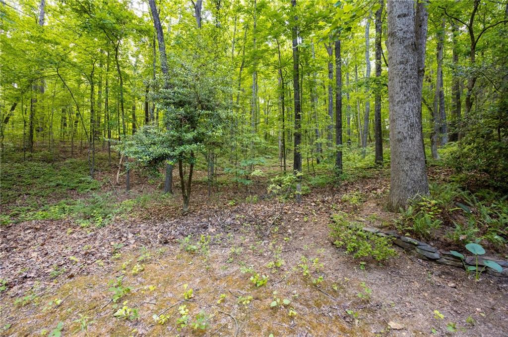 301 Benson Road Dallas, GA 30132 - Photo 39 of 56