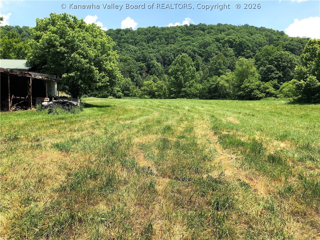 386 Spirit Road Red House, WV 25168 - Photo 22 of 30 Gallery Image 22