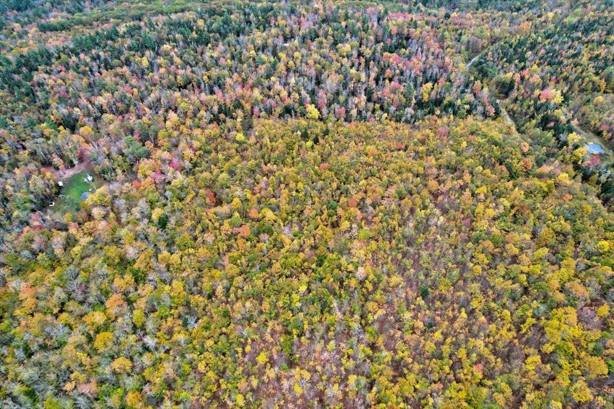 450 Cutting Road Concord, VT 05824 - Photo 11 of 20