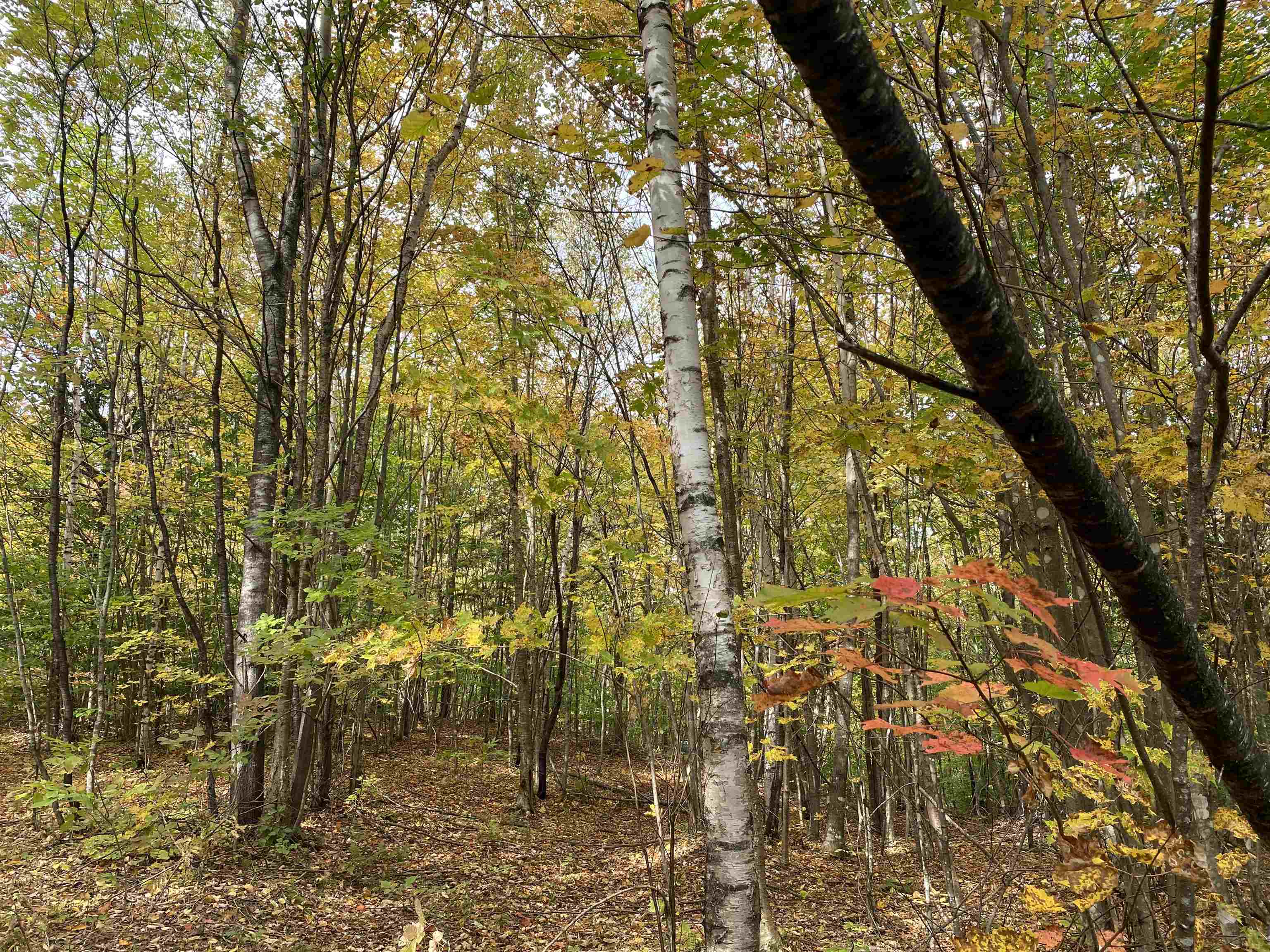 450 Cutting Road Concord, VT 05824 - Photo 14 of 20