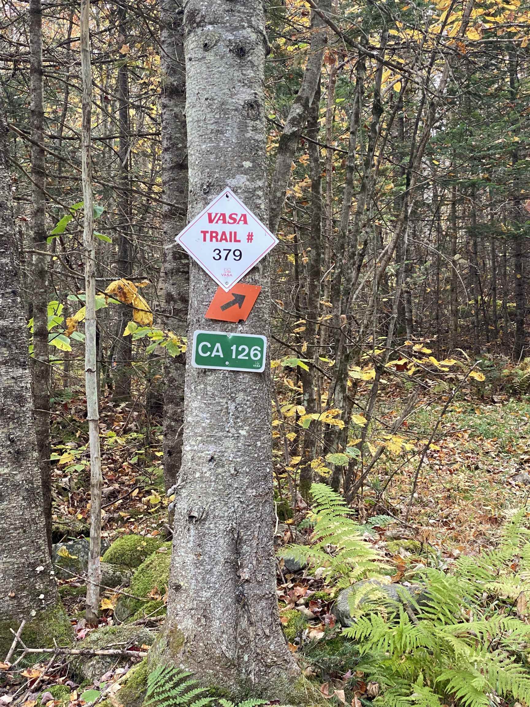 450 Cutting Road Concord, VT 05824 - Photo 16 of 20